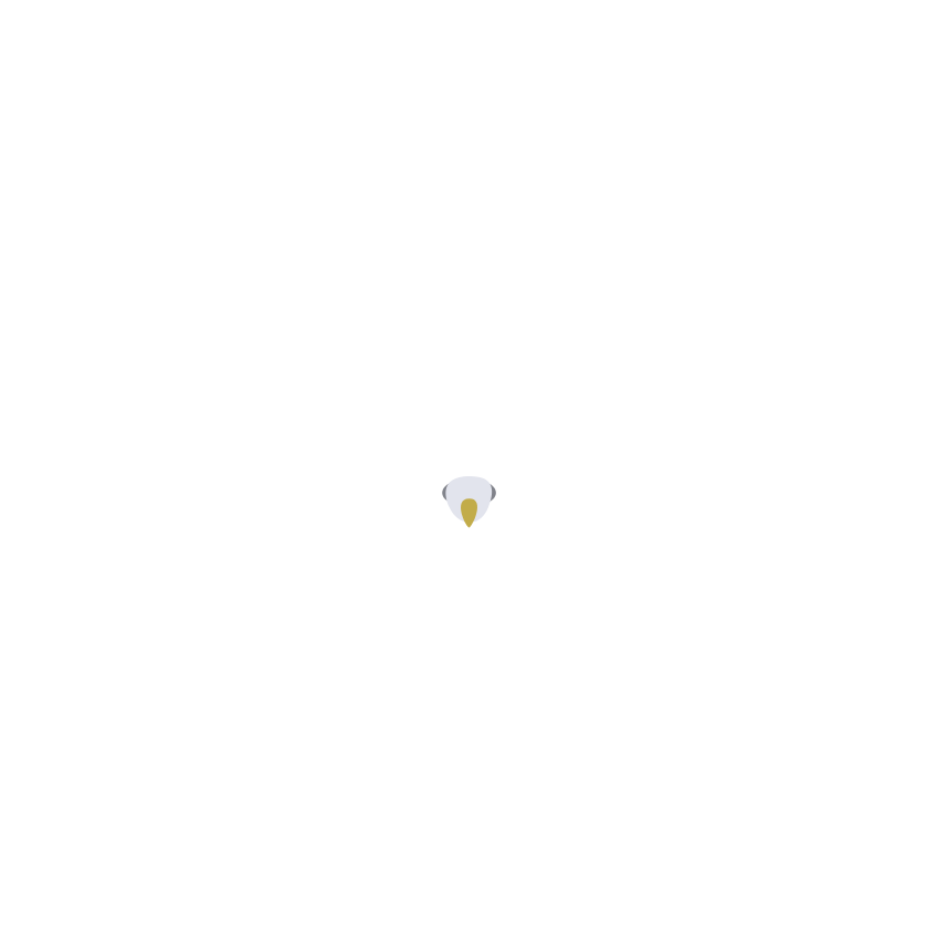 Seagull
